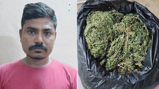 Drug peddling 
